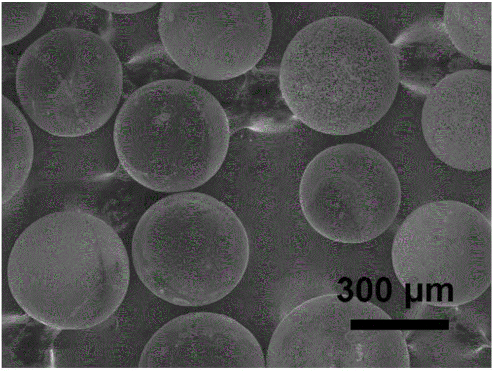 Preparation method and application of molybdenum carbide microspheres