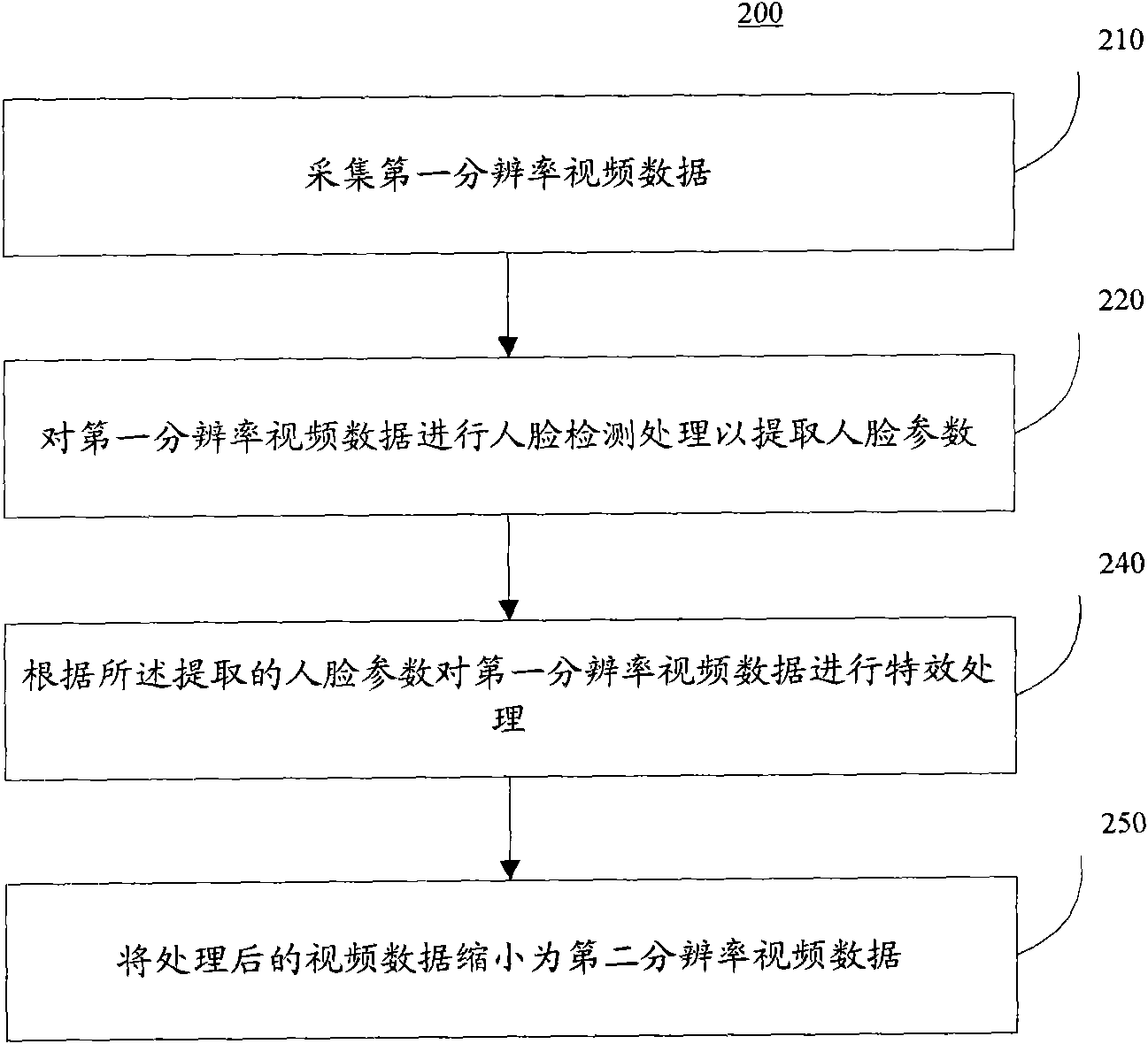 Video application system, video special effect processing system and method