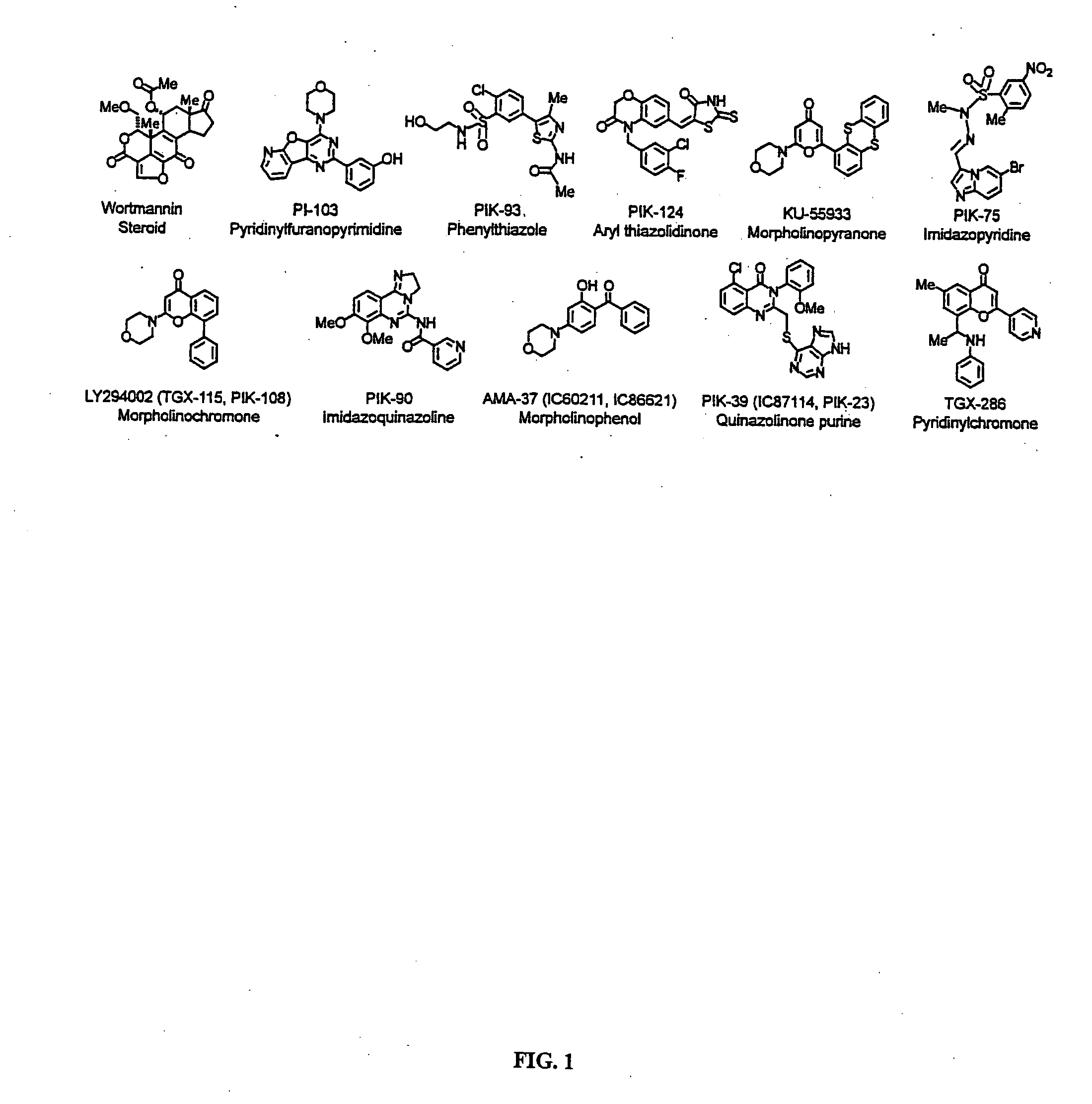 Kinase antagonists