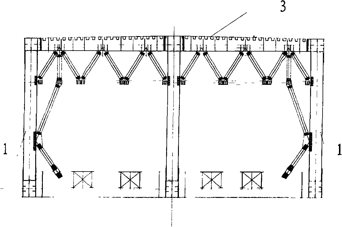 Novel steel braced girder composite structure