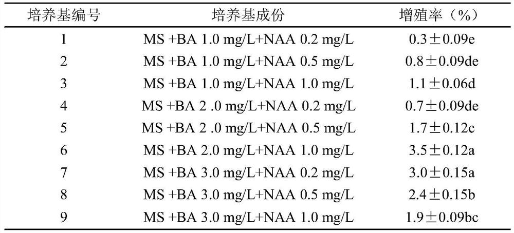 A method for inducing adventitious buds to rapidly propagate orchid seedlings