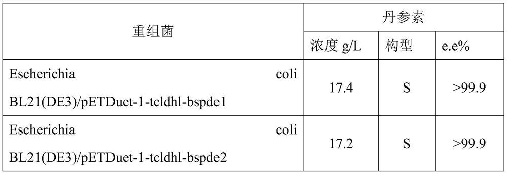 A kind of engineering bacteria and method for producing Danshensu