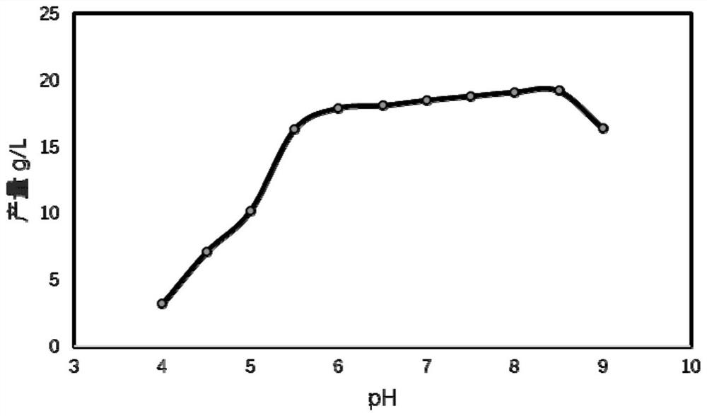 A kind of engineering bacteria and method for producing Danshensu