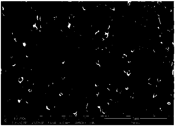 Metal tungsten surface nanocrystallization device and method thereof