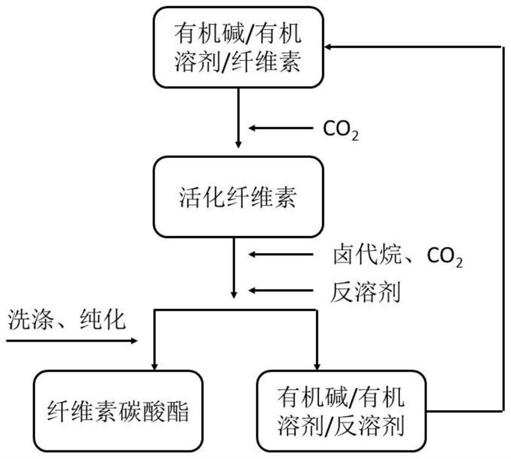 Synthesis method of cellulose carbonate material and application of cellulose carbonate material