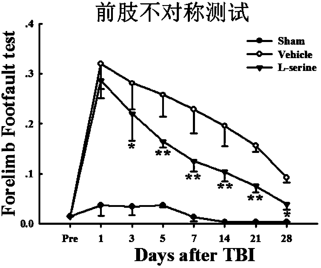 Applications of L-serine in preparing medicines used for treating brain injuries and nerve tissue injuries