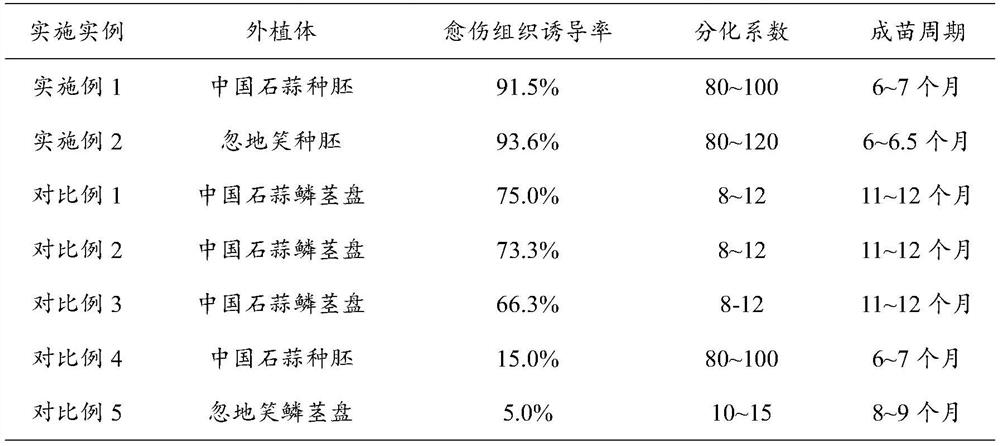 A tissue culture medium and method for establishing Chinese Lycoris or Hudixiao regeneration system