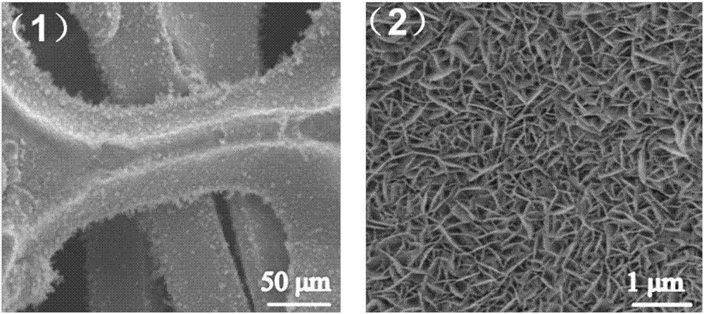 Iron-nickel binary oxide-foam nickel composite electrode material and preparation method thereof