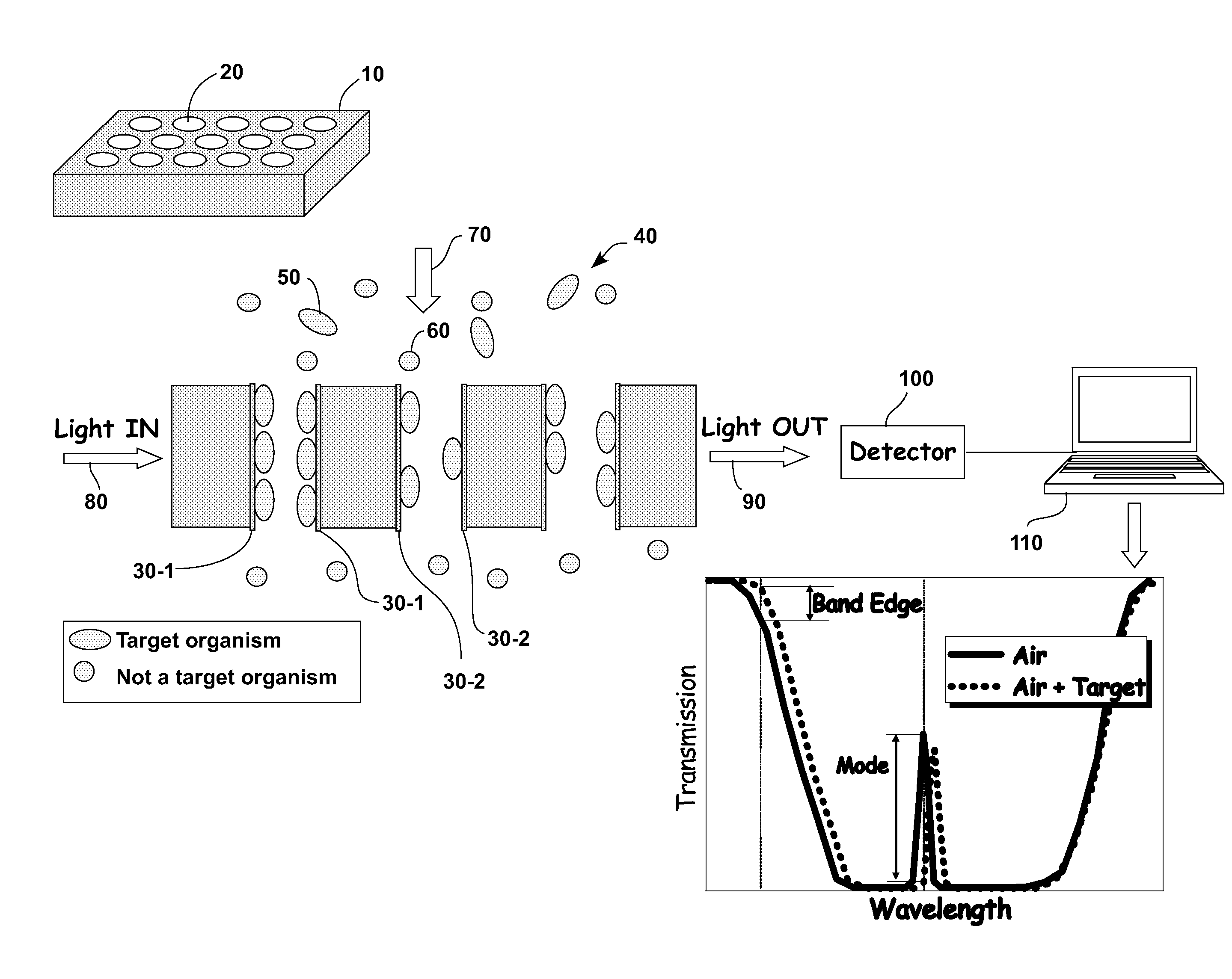 Multiplexed photonic membranes and related detection methods for chemical and/or biological sensing applications