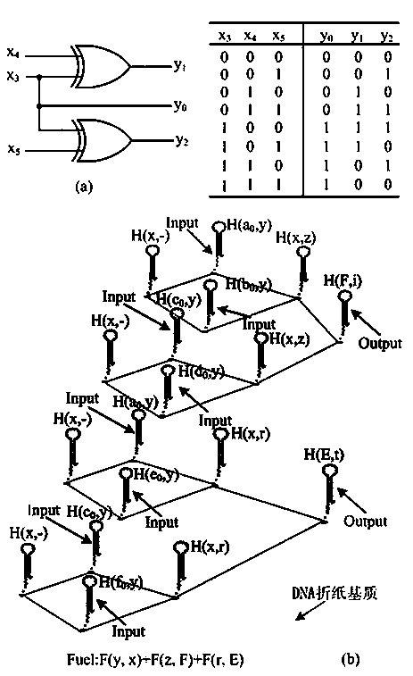 Exclusive OR gate and negation circuit based on local DNA hairpin displacement reaction