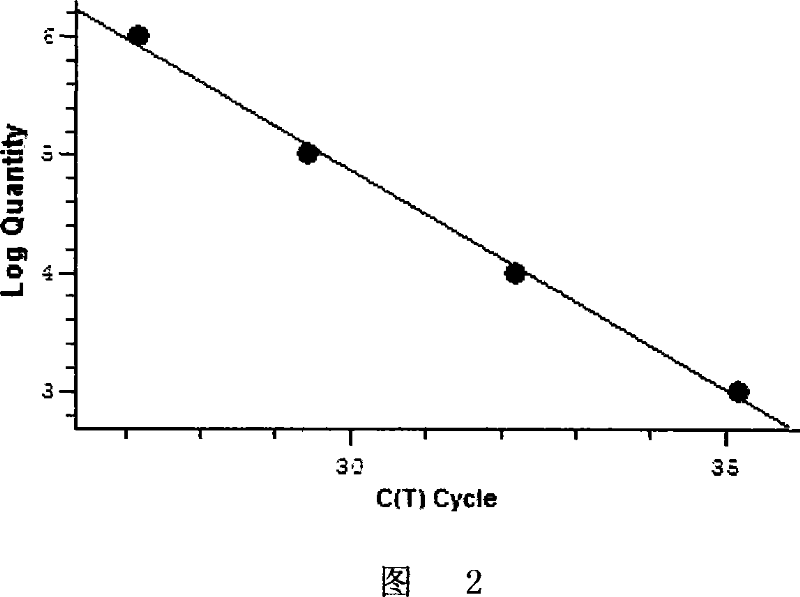 PCR kit for fluorescence quantitative detecting aspergilli