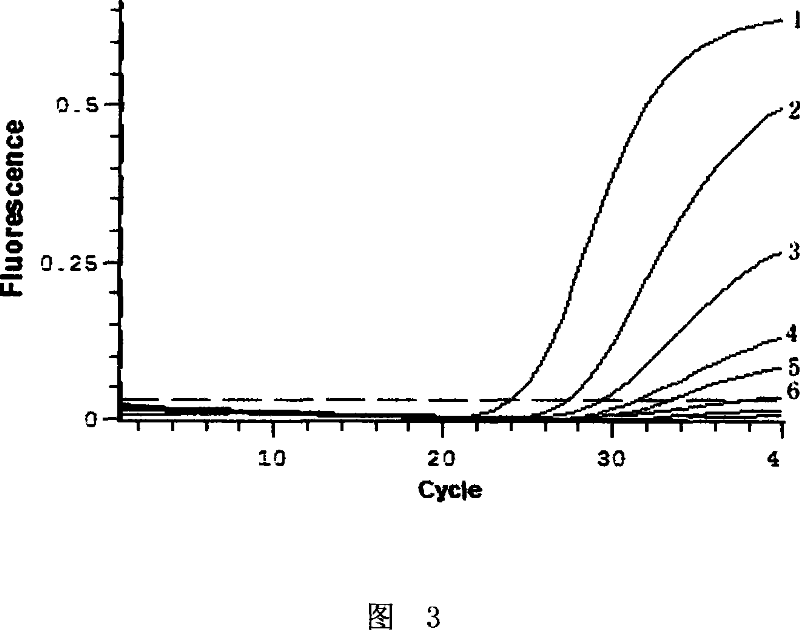 PCR kit for fluorescence quantitative detecting aspergilli