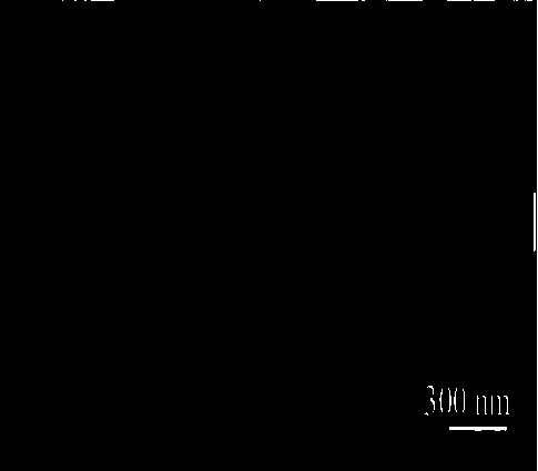 Trimanganese tetroxide preparation method and trimanganese tetroxide prepared therethrough