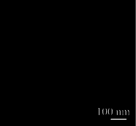 Trimanganese tetroxide preparation method and trimanganese tetroxide prepared therethrough