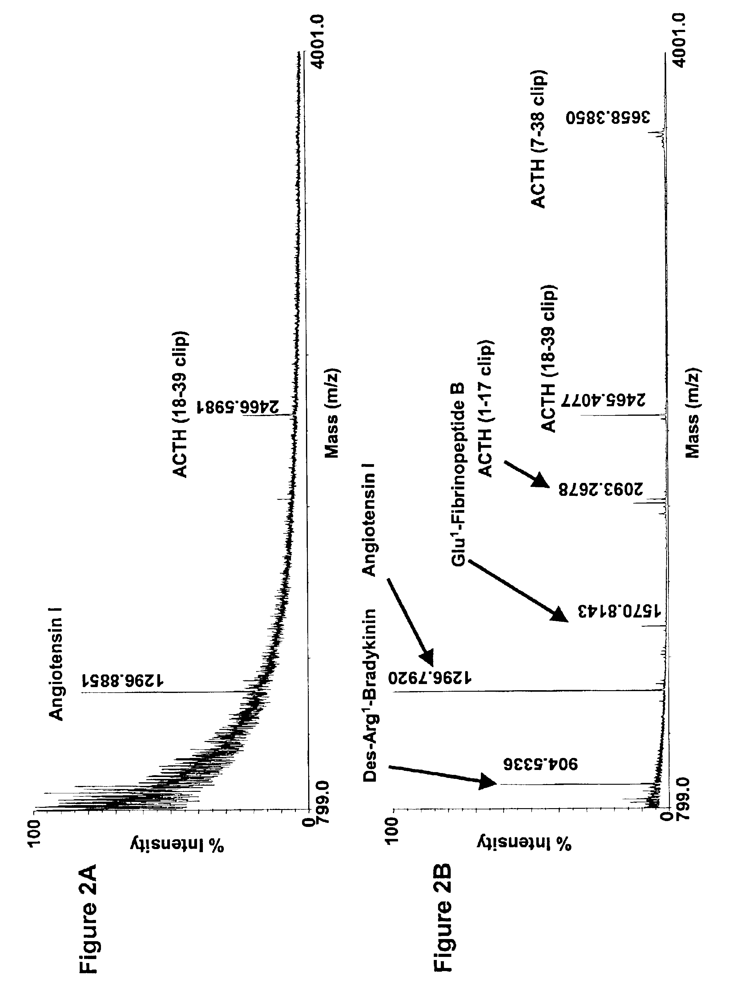 MALDI plate and process for making a MALDI plate