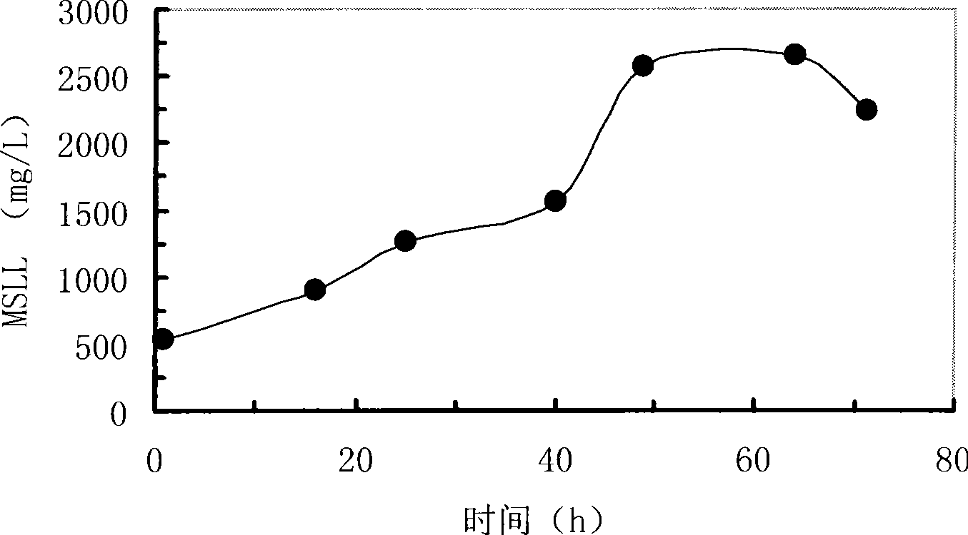 Method for cultivating nitrosobacteria flora and method for treating wastwater containing ammonia nitrogen