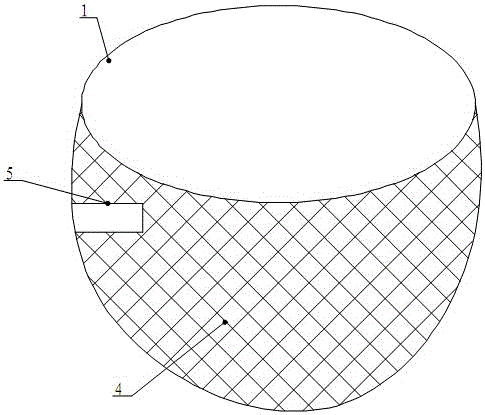 Rubber asphalt manhole cover