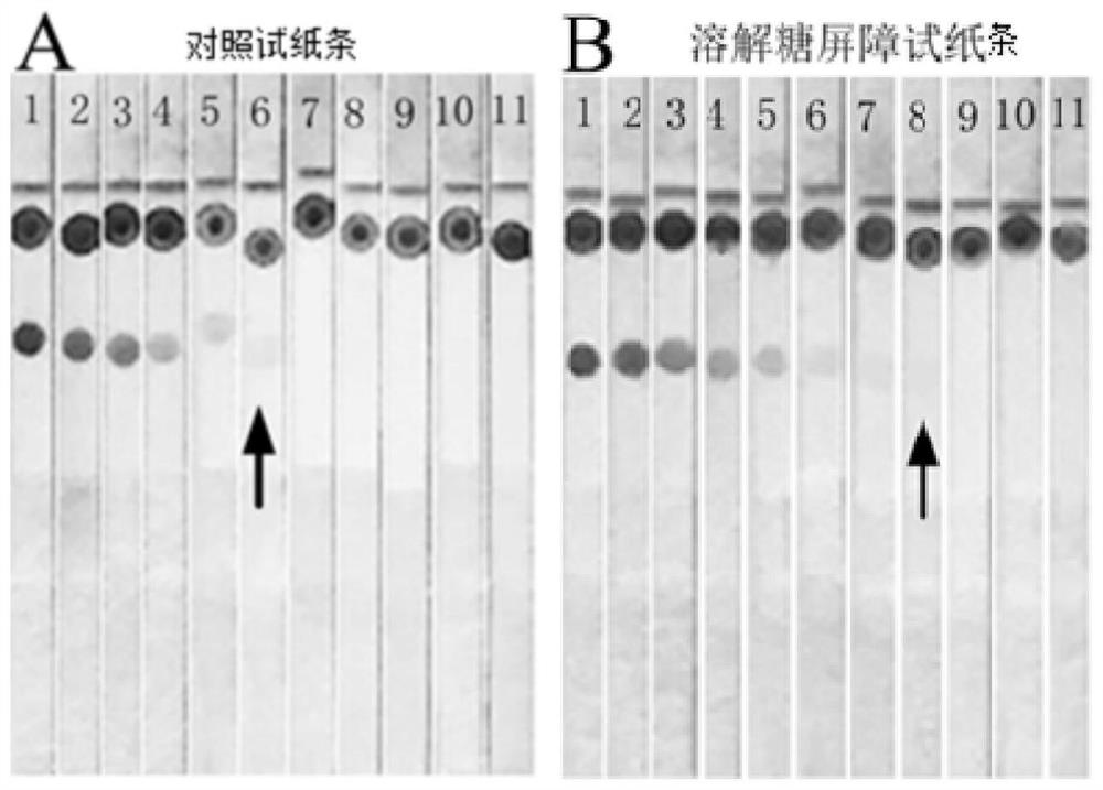 Dissolved sugar barrier test strip as well as preparation method and use method thereof