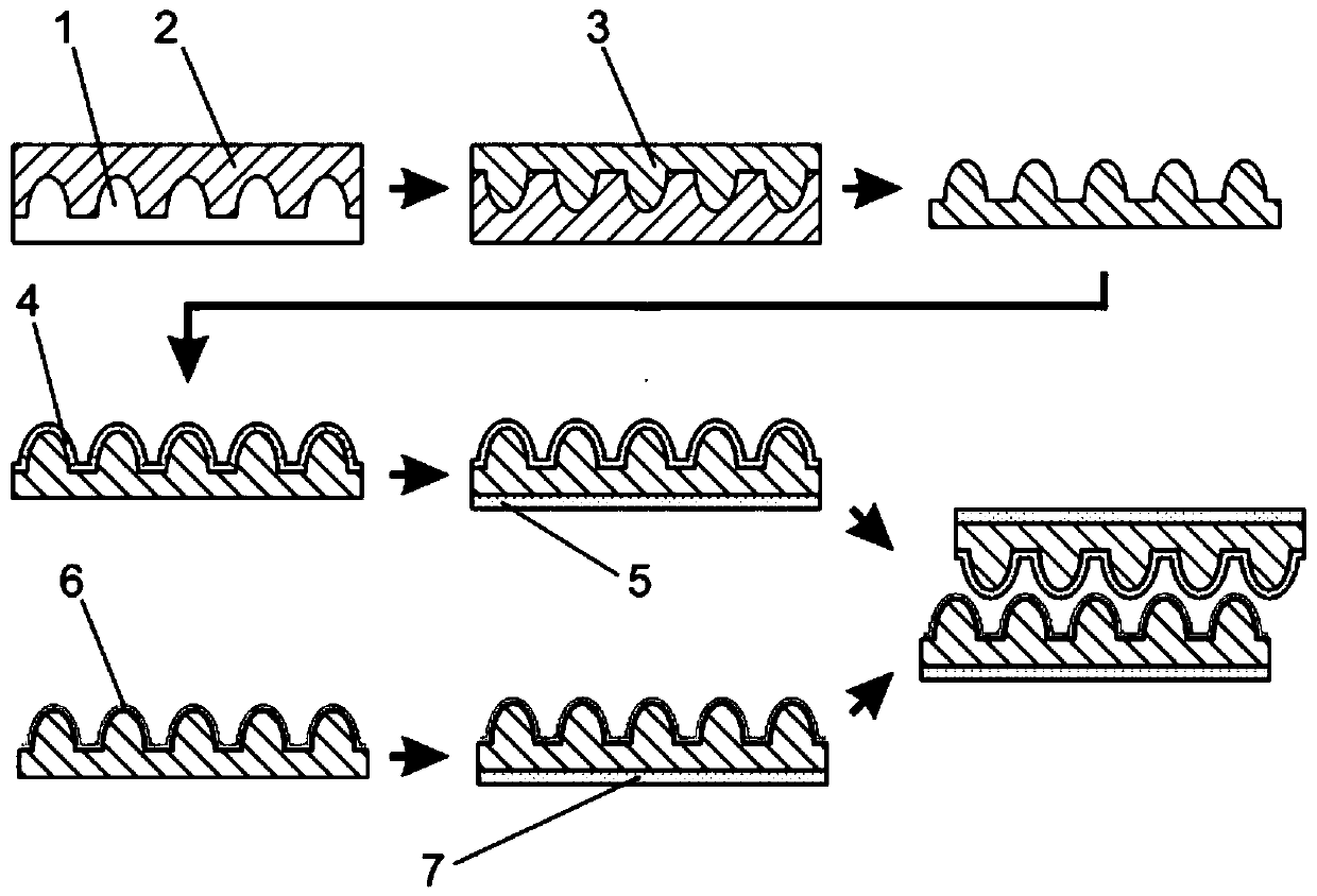 Bionic flexible force sensor and preparation method thereof