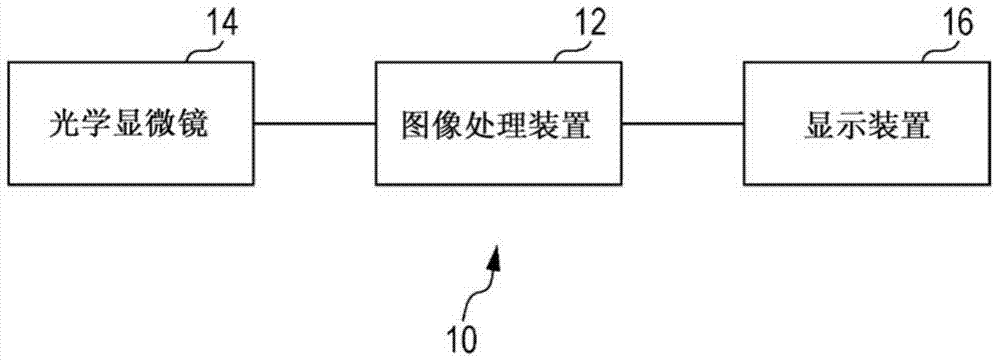 Image processing device, image processing system, and program