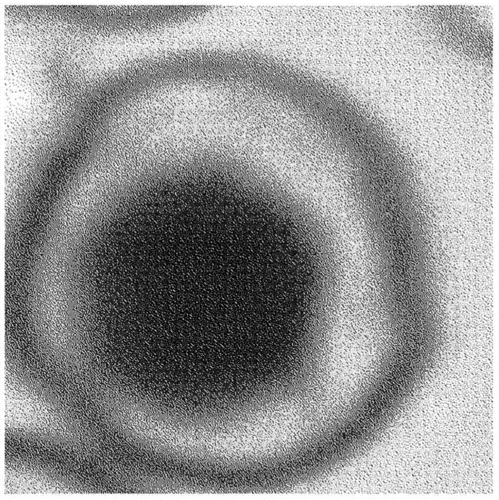 Image processing device, image processing system, and program