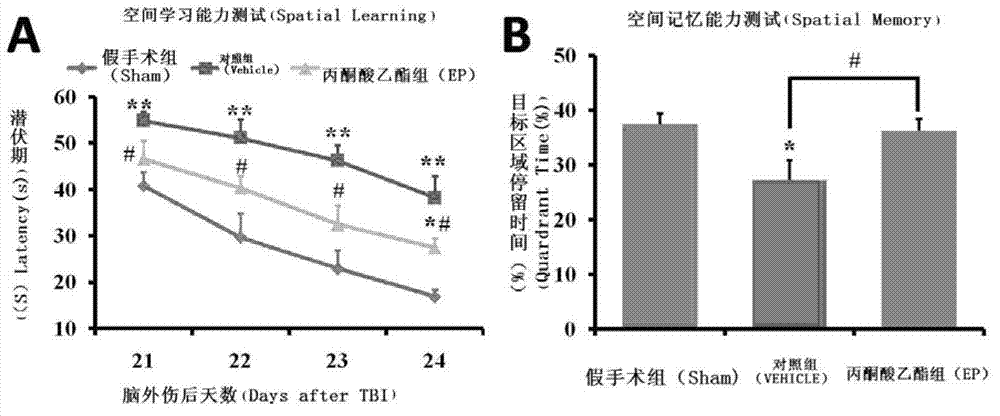 Use of ethyl pyruvate in drug preparation