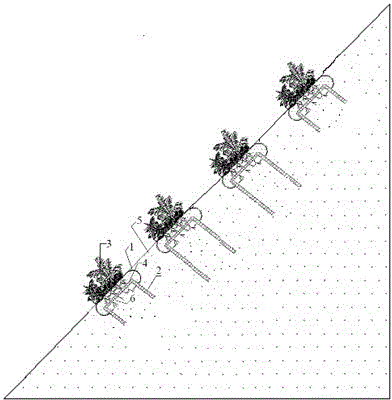 Slope protection and dyke strengthening method for compound system