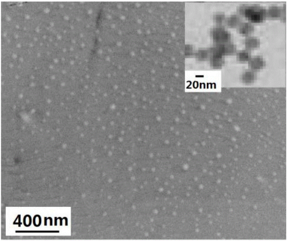 Prussian blue analog nanoparticles, and preparation method and application thereof