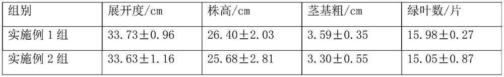 A kind of insect-proof and growth-promoting foliage fertilizer