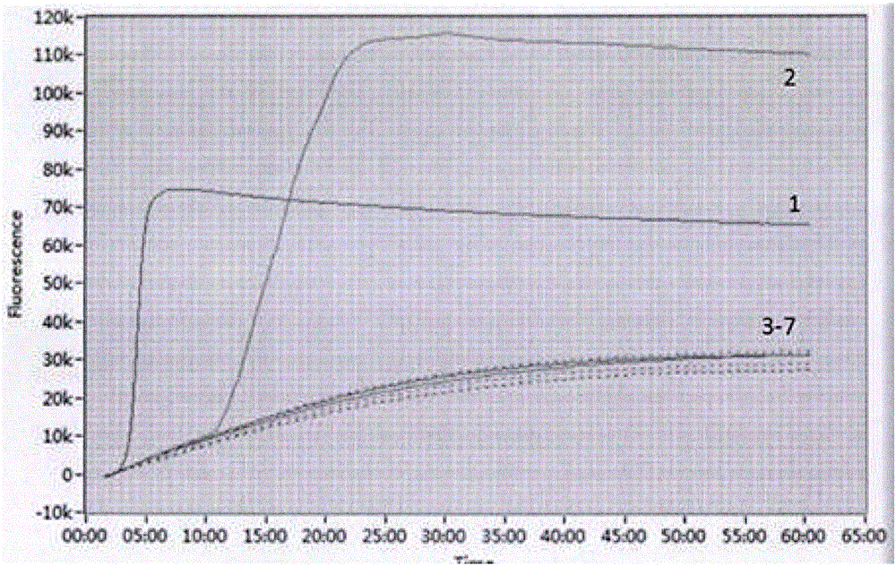 Zika virus loop-mediated isothermal amplification detection kit and using method