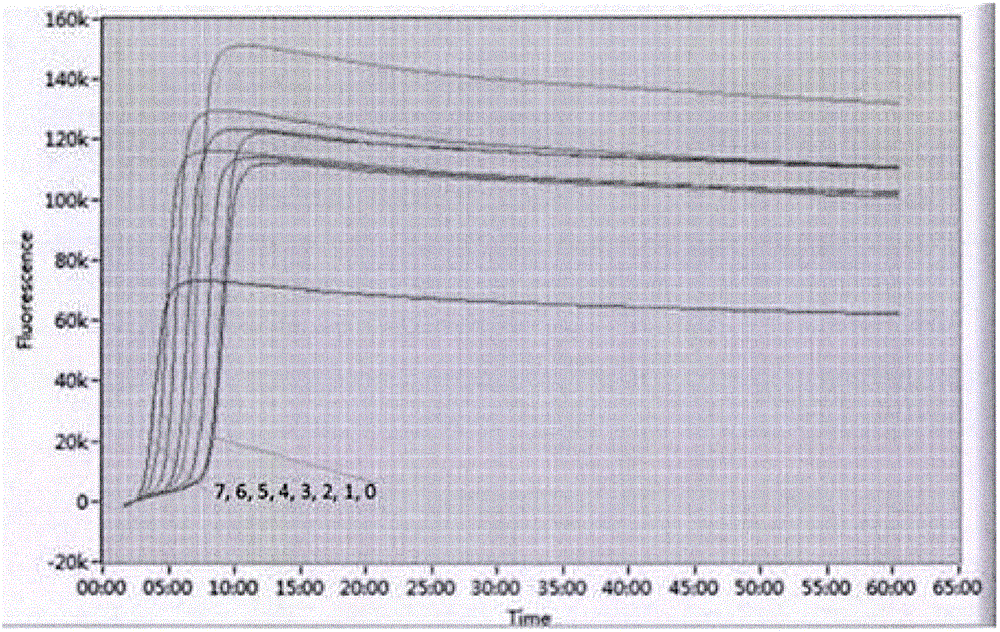 Zika virus loop-mediated isothermal amplification detection kit and using method