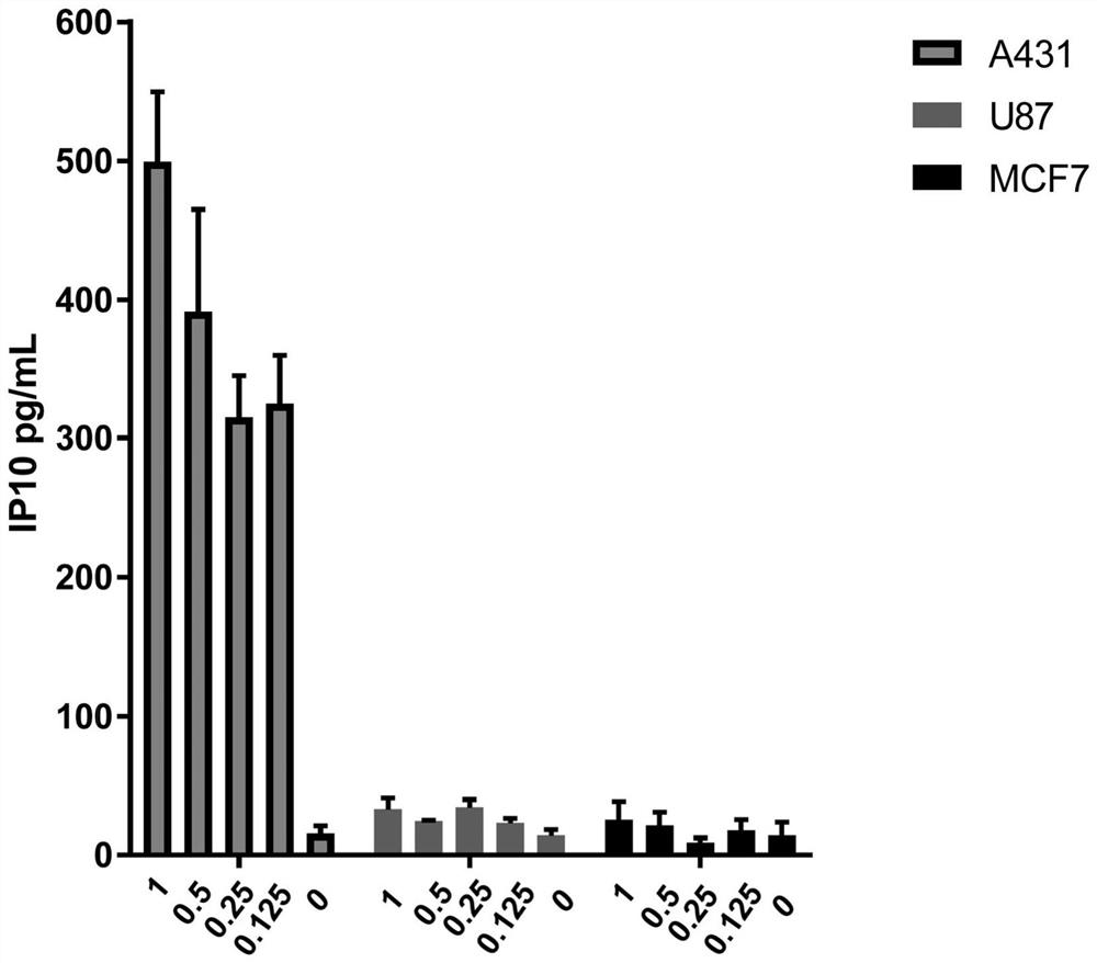 Immunotherapy for the treatment of cancer