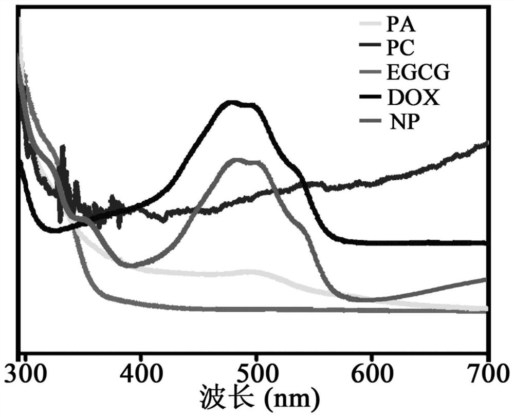 A targeted nanoparticle for inhibiting breast cancer and its preparation and application