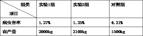 Grape planting method