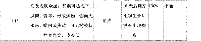 Traditional Chinese medicinal composition for treating burns and scalds and preparation method thereof