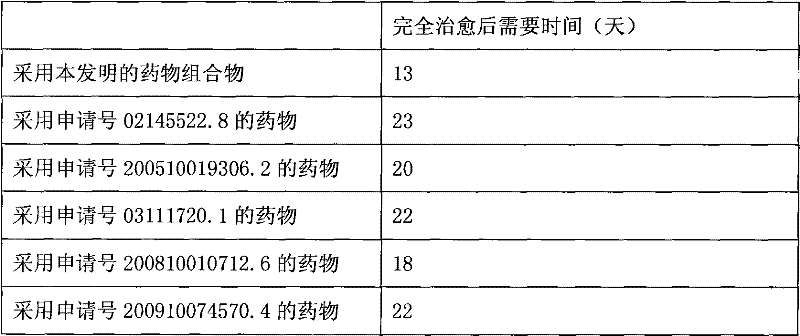 Traditional Chinese medicinal composition for treating burns and scalds and preparation method thereof