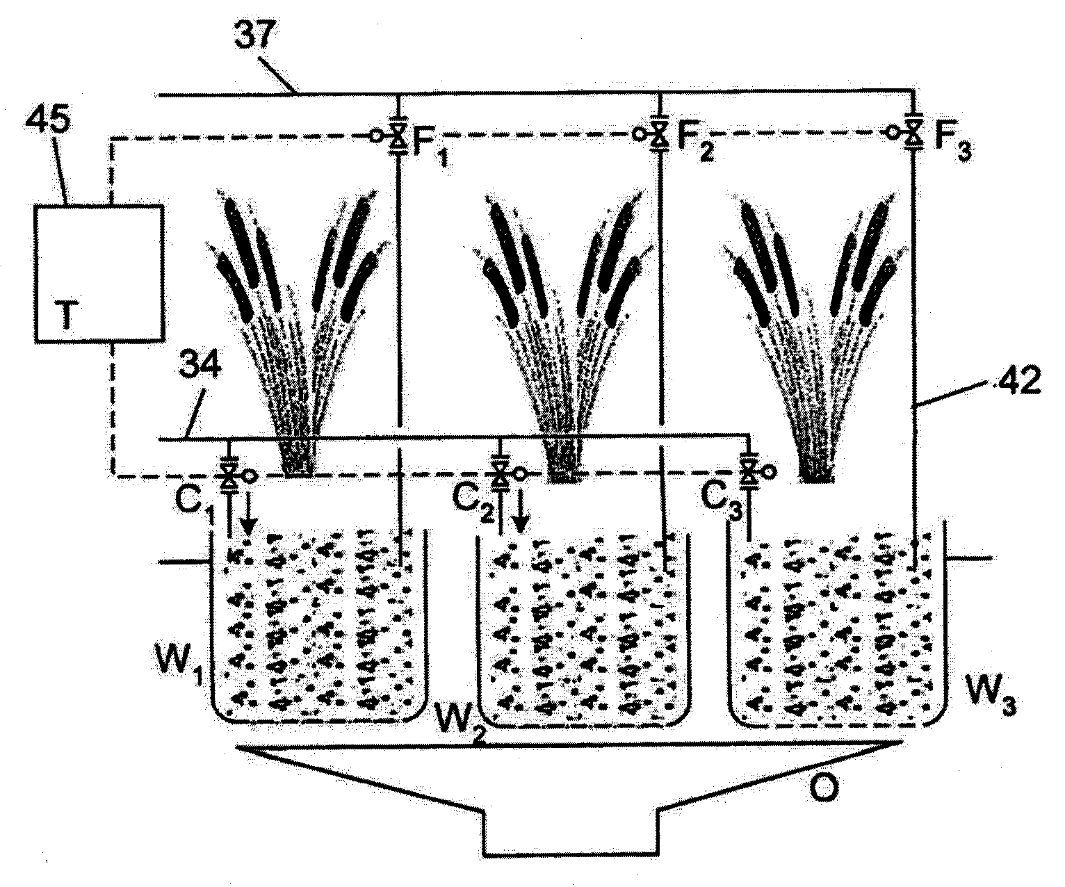 System and method for processing and reusing graywater including for use in home and garden