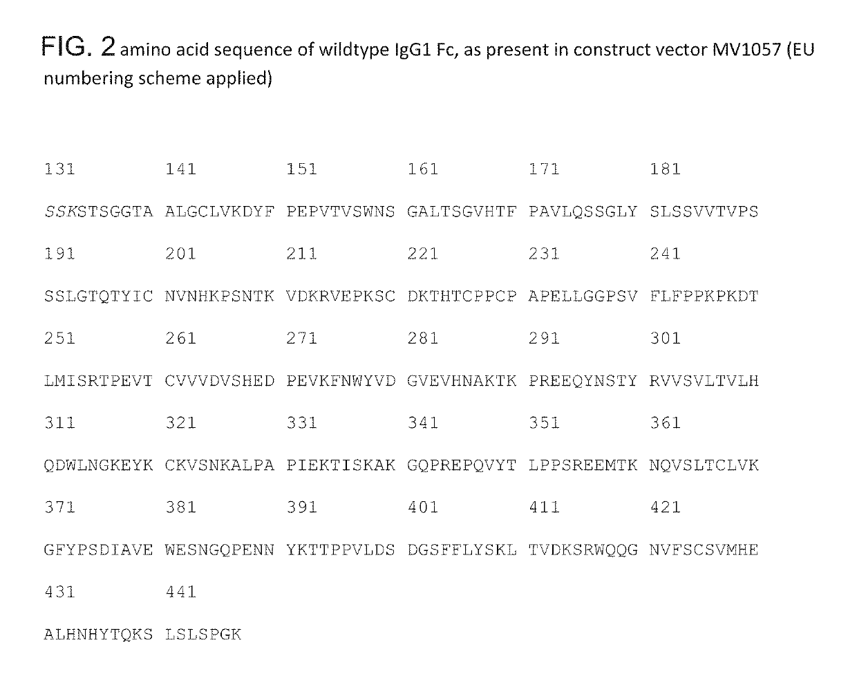 Methods and means for the production of Ig-like molecules