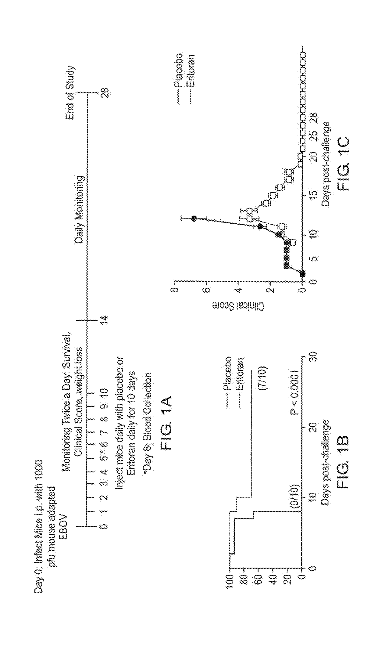 Method of use of eritoran as a tlr4 antagonist for treatment of ebola and marburg disease