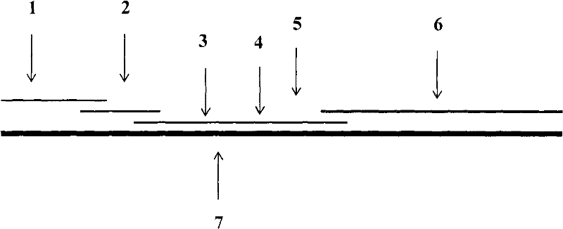 A colloidal gold immunochromatographic test strip for rapid detection of Edwardsiella tarda