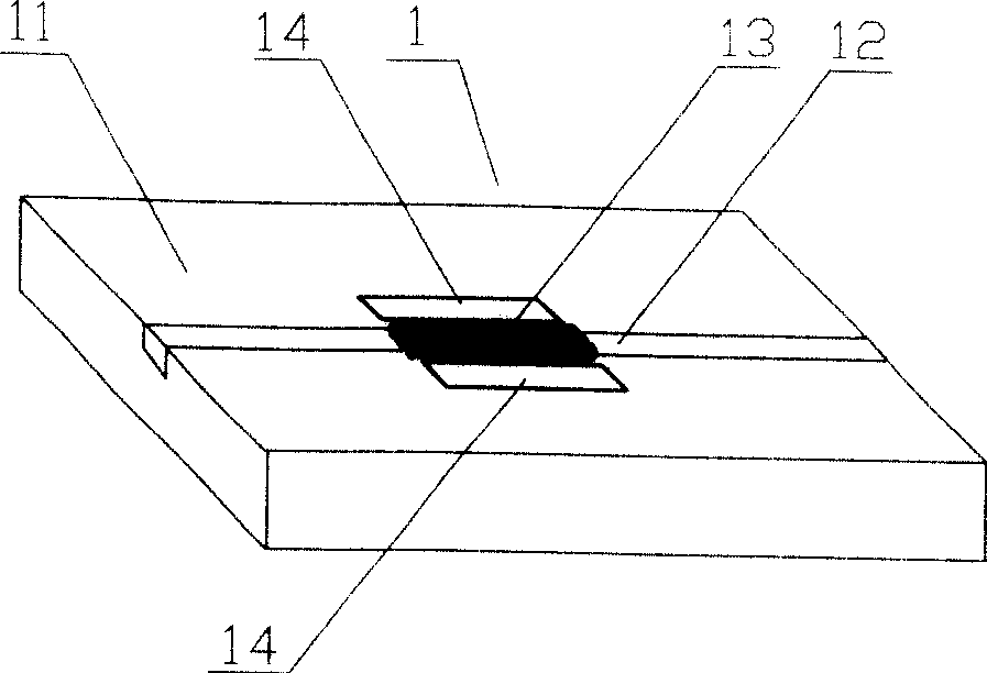 Optical coding/decoding device whose plane light-path is variable