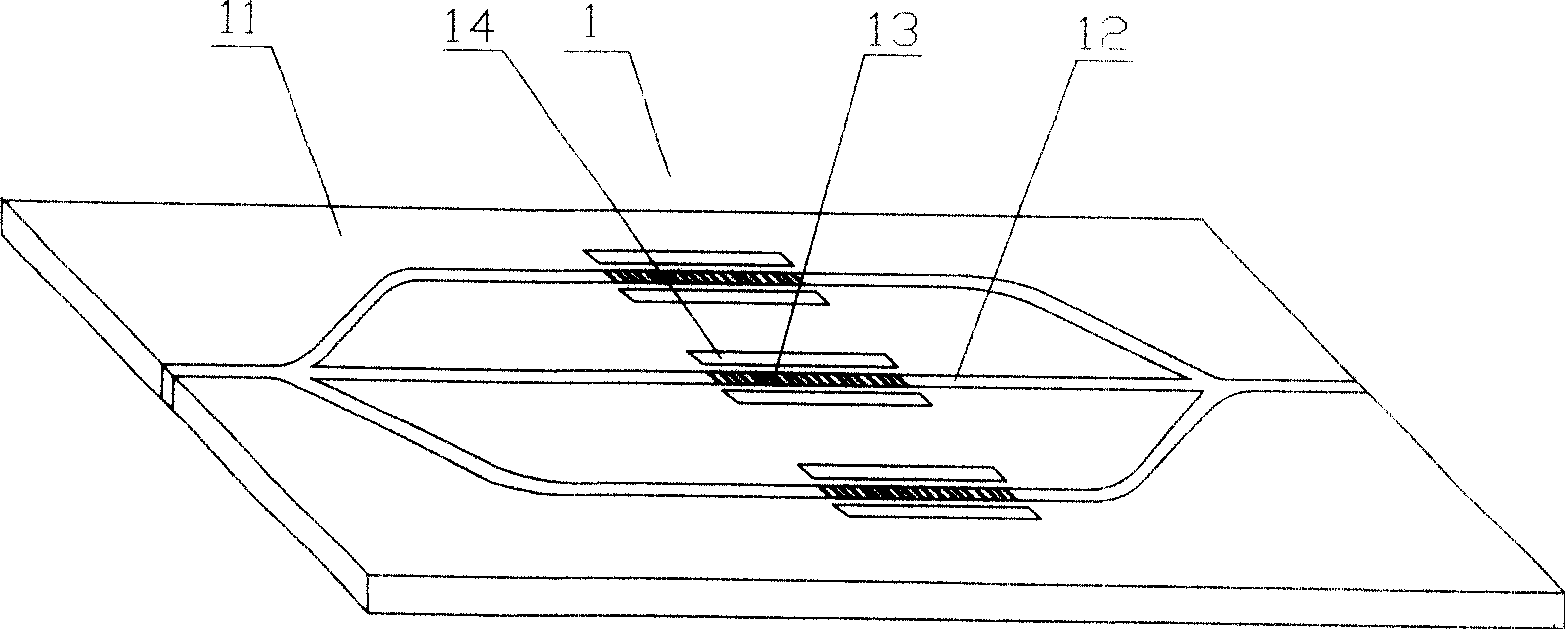 Optical coding/decoding device whose plane light-path is variable