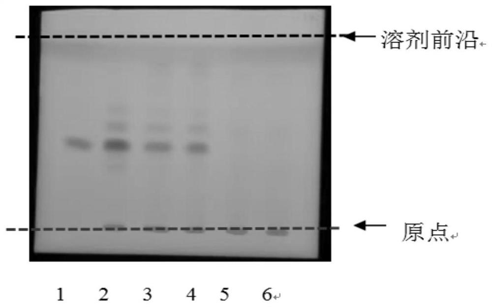 A kind of rehmannia yinzi pharmaceutical composition, preparation method and detection method