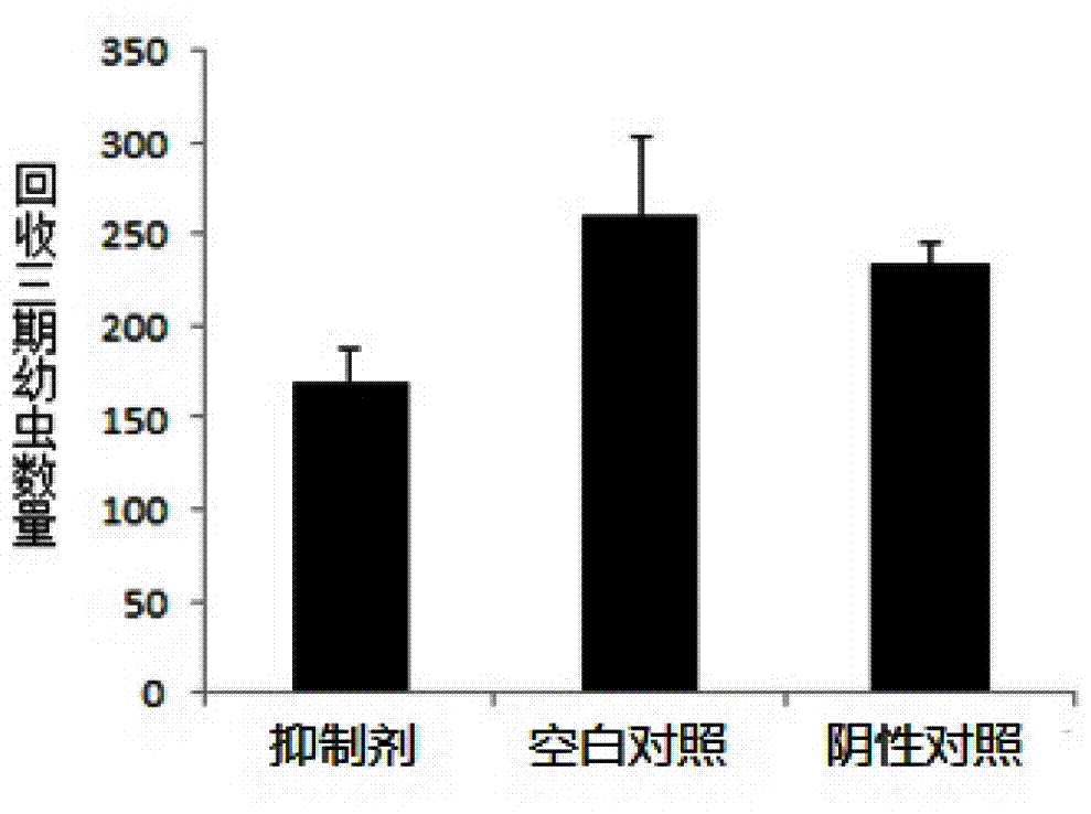 A kind of roundworm miRNA inhibitor and application thereof