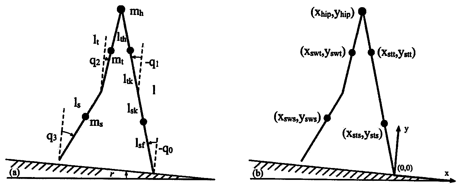 Double-feet passive walking state control method with knee bending behavior