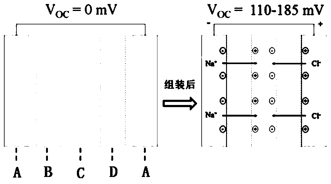 A life battery, its preparation method, and a device for preparing a life battery