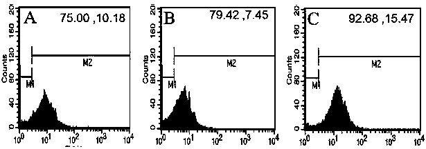 Myristic acid-mediated brain-targeting polymer micelle drug-delivery system and its preparation method and use