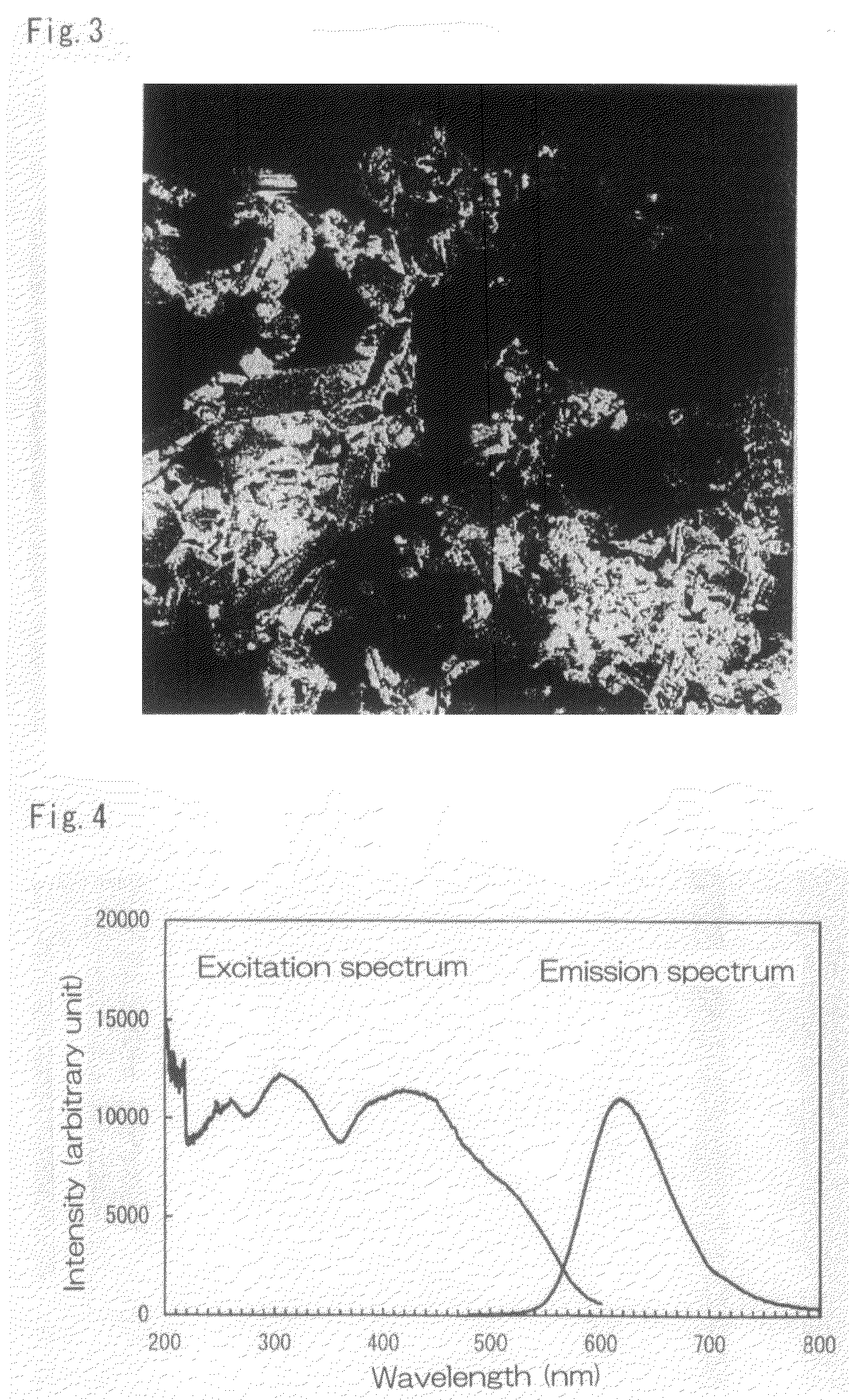 Phosphor production method