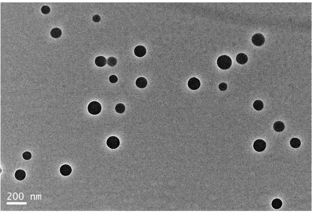 Preparation method of shale micro/nano particle plugging agent for water-base drilling fluids