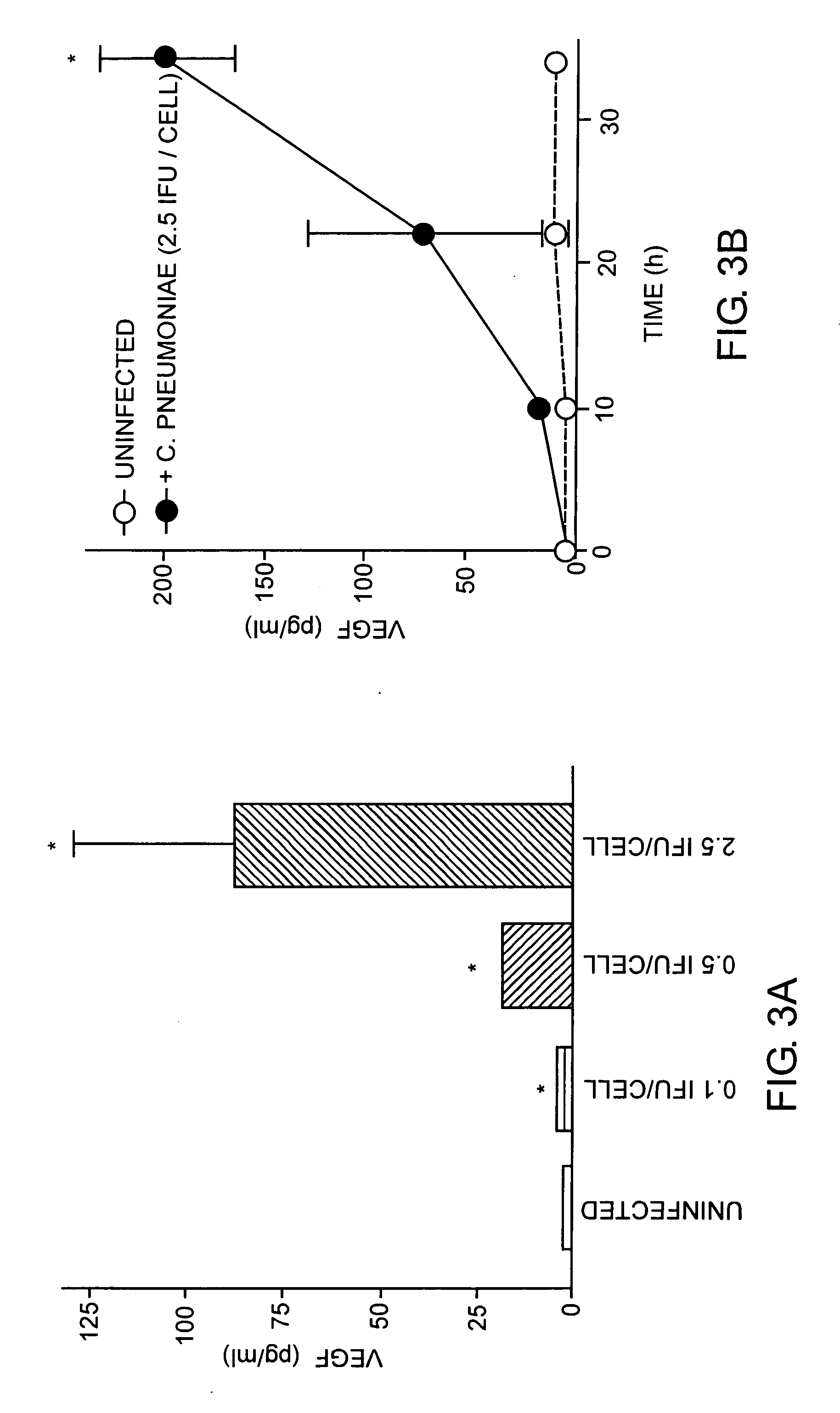 Chlamydia pneumoniae associated chronic intraocular disorders and treatment thereof